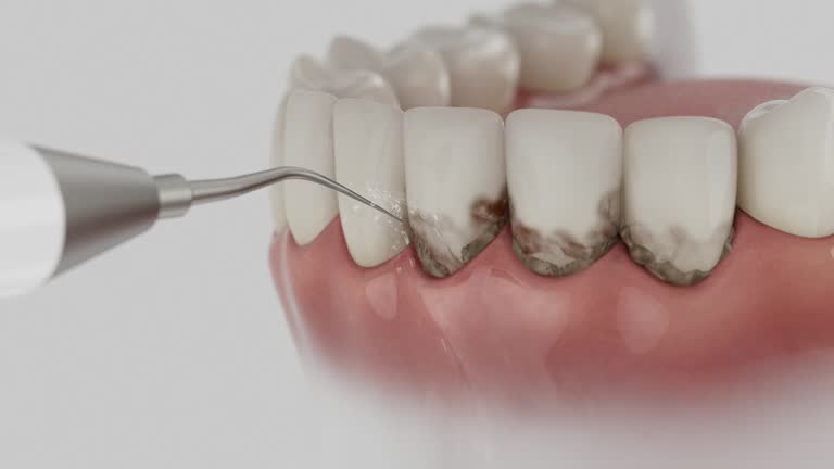 Reliable Dental contractor in Calumet Park, IL by Dentist Open Now